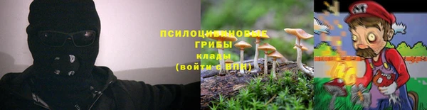 прущие крисы Надым